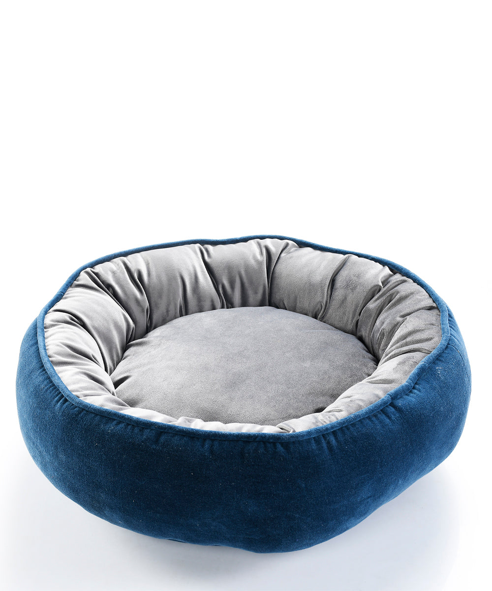 NAPTUNE