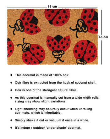 Ladybug Doormat